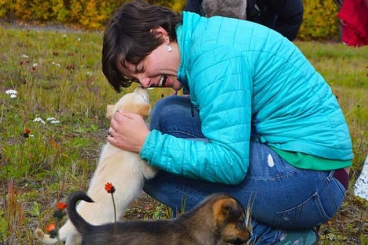 Mush Your Own Sled Dog Team in Talkeetna — Summer & Fall Dryland Mushing