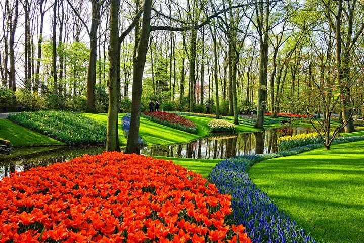 Private Keukenhof Gardens & Tulip Fields Tour from Amsterdam photo 6