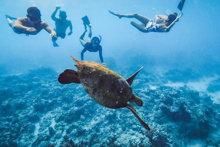 Ko Olina Private Yacht Snorkel Cruise — Small-Group Oahu Adventure photo 4