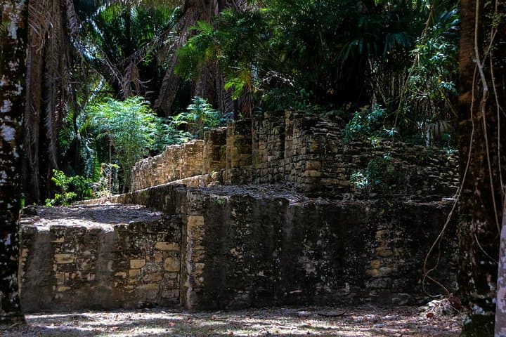Private Shore Excursion to Kohunlich Mayan Ruins: Guided Jungle Ruins Tour from Costa Maya photo 4