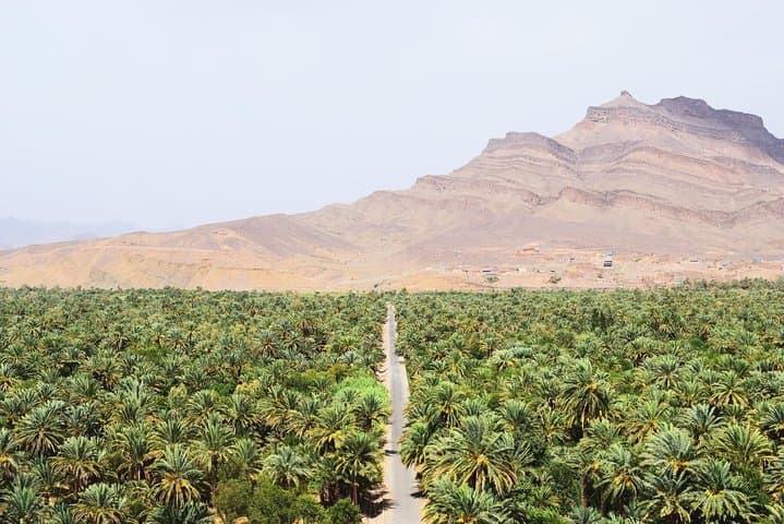4-Day Private Sahara Desert Tour from Marrakech — Erg Chebbi & Atlas Route photo 6