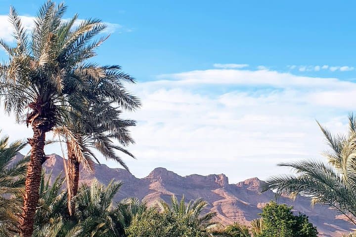 Zagora Desert Overnight: 2-Day Berber Camp & Camel Ride from Marrakech photo 5