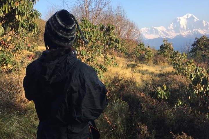 Poon Hill Circuit with Jhinu Hot Spring — 4–5 Day Trek from Pokhara