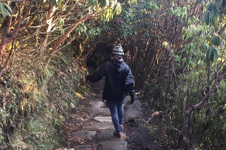 Poon Hill Circuit with Jhinu Hot Spring — 4–5 Day Trek from Pokhara photo 3