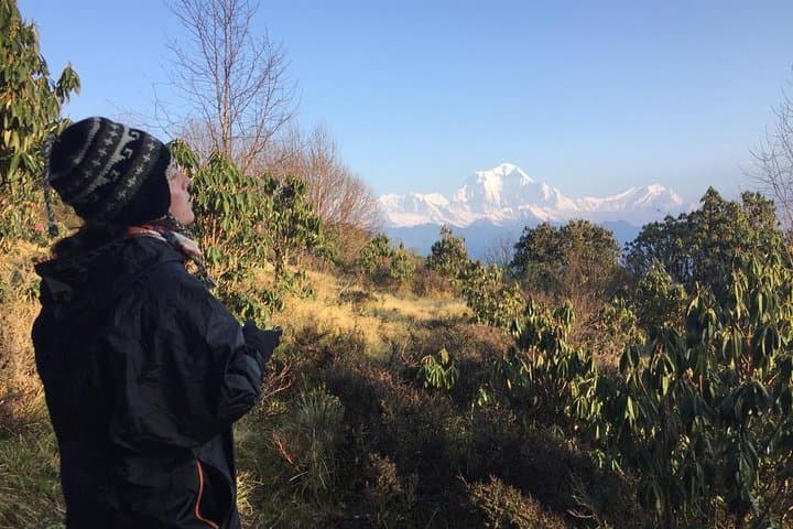 Poon Hill Circuit with Jhinu Hot Spring — 4–5 Day Trek from Pokhara photo 5