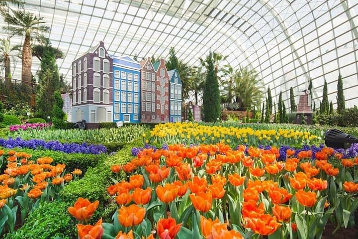 Marina Bay SkyPark & Gardens by the Bay: Sky-High Views, Cloud Forest and Jurassic World photo 2