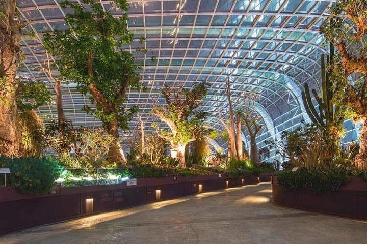 Marina Bay SkyPark & Gardens by the Bay: Sky-High Views, Cloud Forest and Jurassic World photo 3