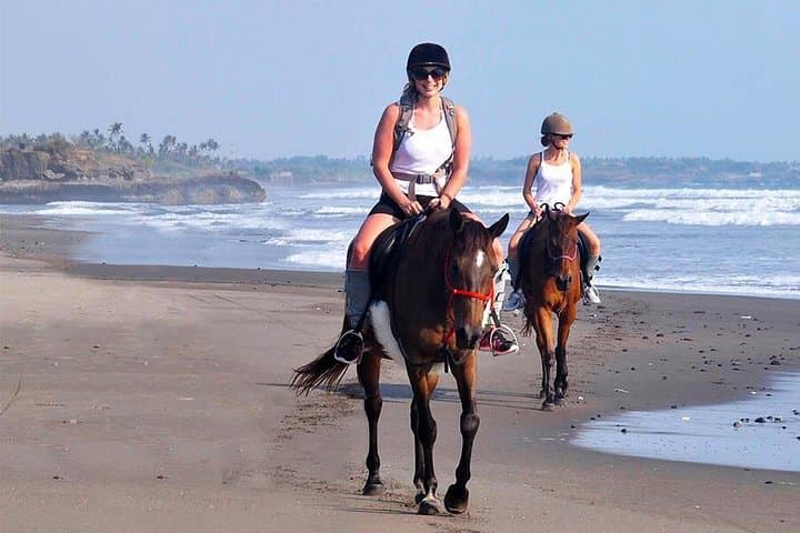 Bali Village Horse Ride: Rice-Field Trails to Seashore Canters photo 1