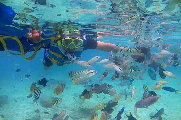 Lombok Pink Beach Snorkel Tour — Pink Sand, Cliffs & Gili Snorkeling photo 2