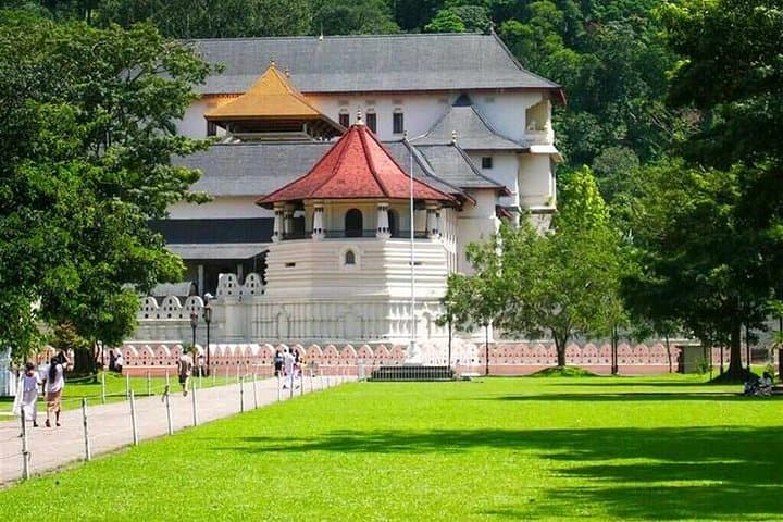 Kandy Day Tour: Temple, Tea Plantations & Royal Botanic Gardens