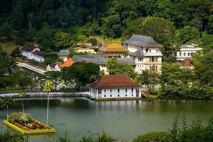 Kandy Day Tour: Temple, Tea Plantations & Royal Botanic Gardens photo 4