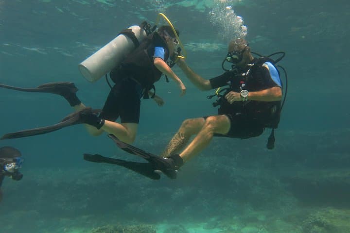 Introductory Scuba Dive in Mallorca's Marine Nature Reserve photo 4