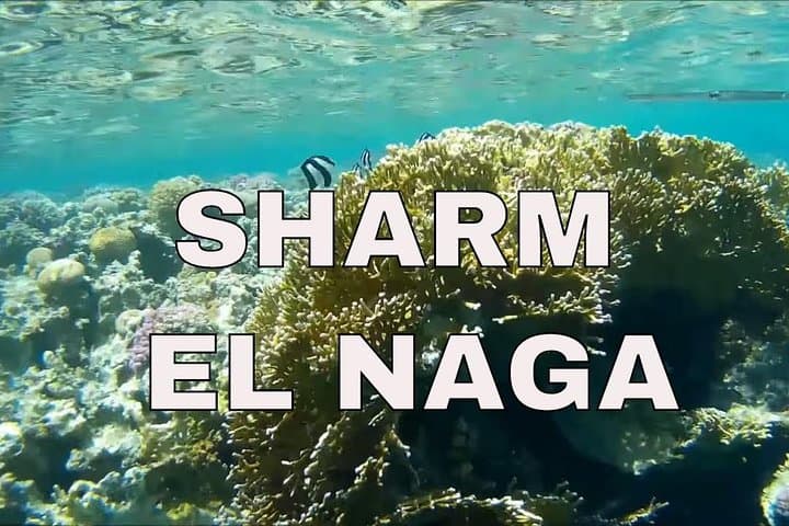 Snorkel Sharm El Naga Bay from Hurghada — Coral Reefs, Beach & Lunch photo 2