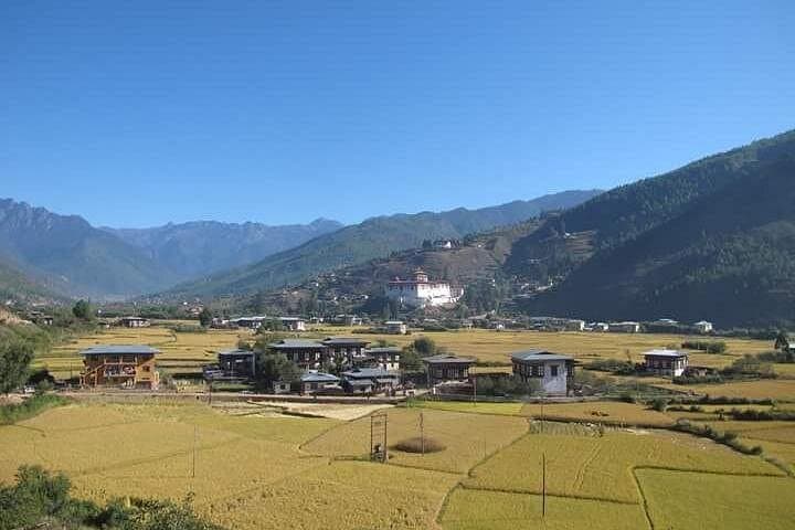 Hidden Bhutan: Western Valleys, Dzongs and the Tiger's Nest Hike photo 4