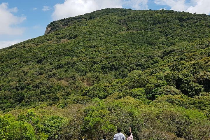 Munnar Trek: 2-Day Mathikettan Shola Hike in the Western Ghats photo 3