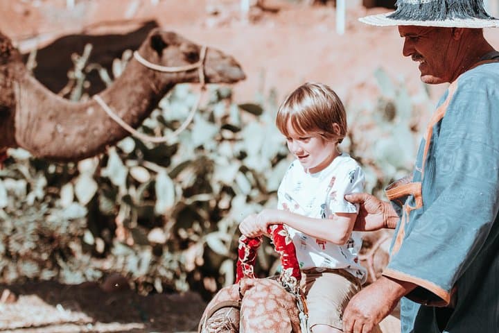 Camel Caravans in Marrakech's Palm Oasis: 2-Hour Sunset Ride & Tea Visit photo 3