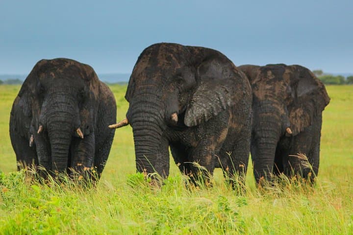 Cape Vidal Snorkeling Safari — Full-Day iSimangaliso Wetland Adventure photo 2