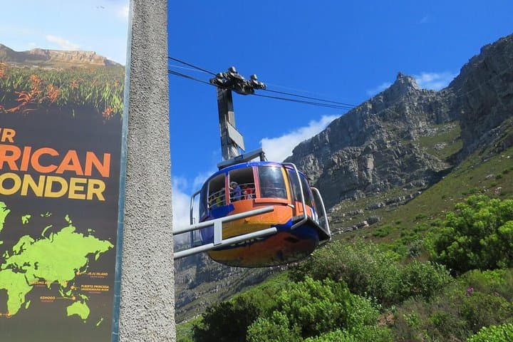 Table Mountain & Constantia Wine Tour — Private Full-Day from Cape Town photo 4
