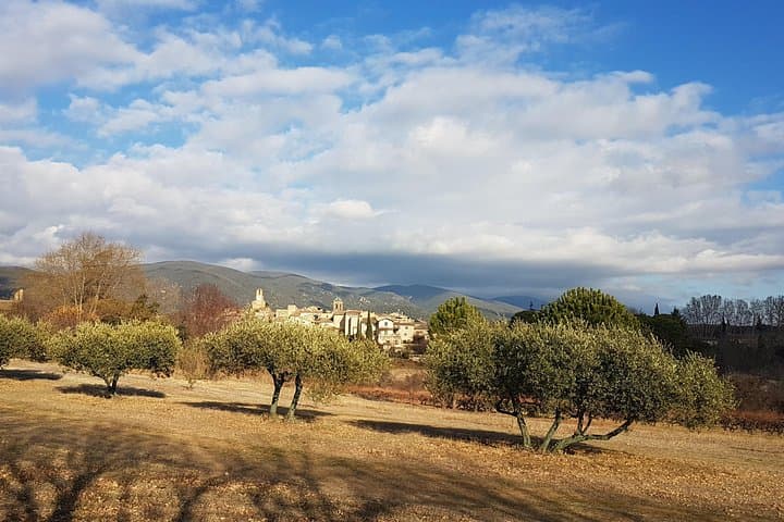 Luberon Lavender Country Private Tour: Gordes, Roussillon & Bonnieux photo 4