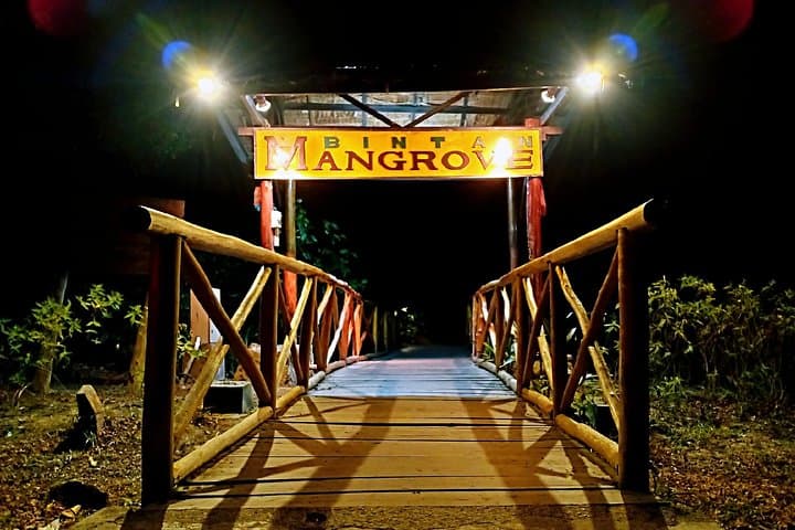 Bintan Fireflies Discovery Tour: Night Mangrove Cruise on the Sebong River photo 1