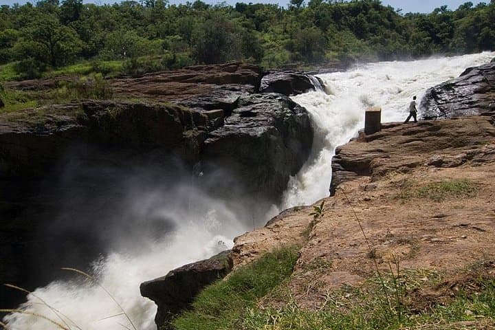3-Day Murchison Falls Safari: Big Five, Boat Cruise & Falls Hike photo 2