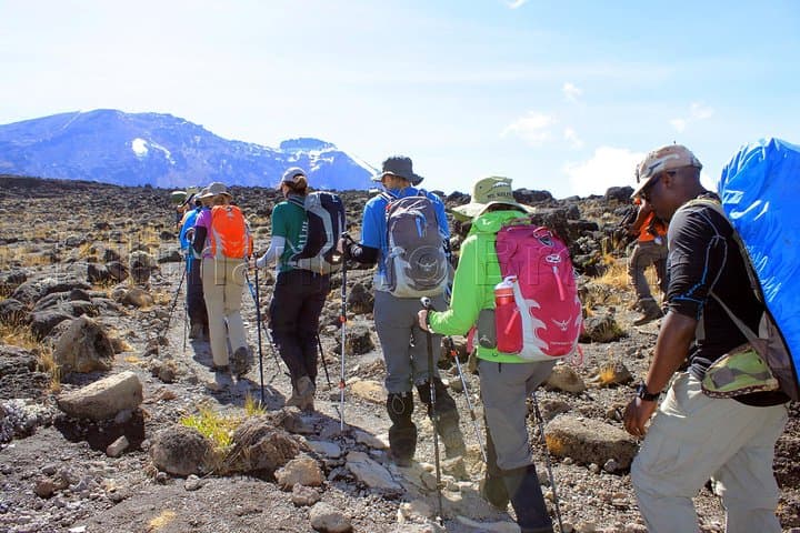 Kilimanjaro Lemosho Route 8-Day Itinerary — Western Approach to Uhuru Peak photo 6