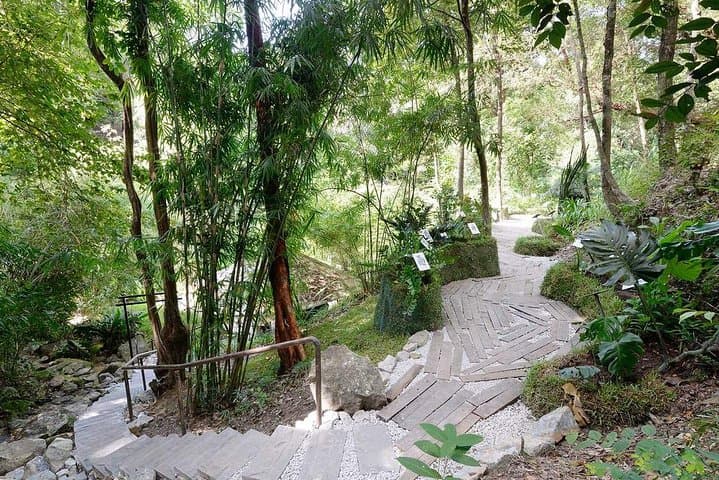 Explore Penang's Tropical Spice Garden: Guided Tours & Entrance Tickets photo 3