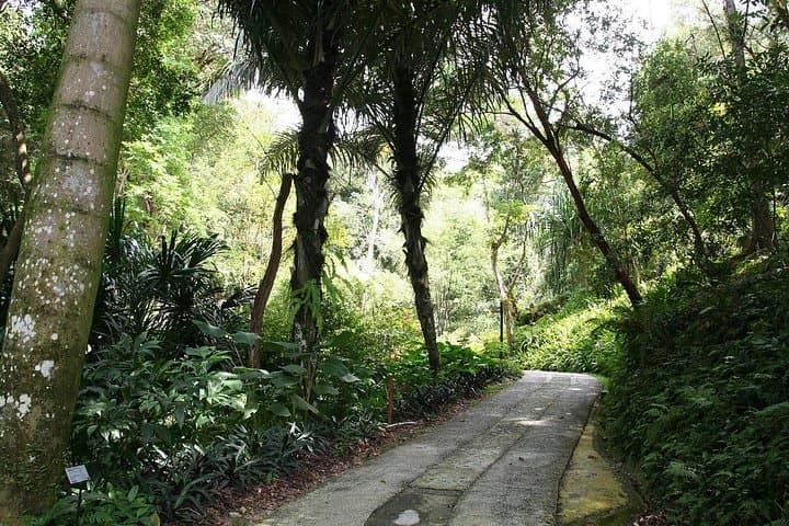 Explore Penang's Tropical Spice Garden: Guided Tours & Entrance Tickets photo 4