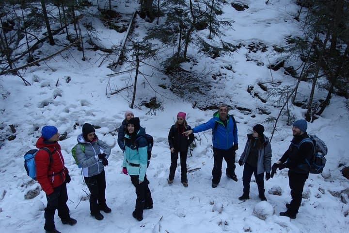 Stan Valley Canyon Hike: Transfagarasan Waterfalls & Vidraru Dam Day Trip