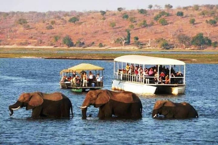 Chobe Safari Day Trip from Livingstone: Kasane Game Drive & River Cruise photo 1