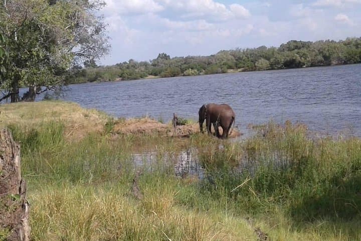 Chobe Safari Day Trip from Livingstone: Kasane Game Drive & River Cruise photo 3