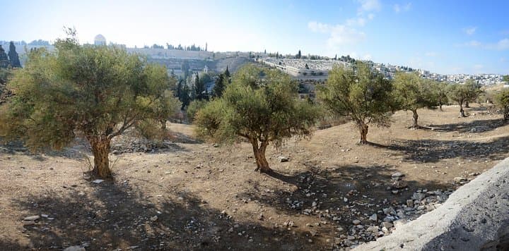 Full-Day Jerusalem Old City Tour from Tel Aviv — Western Wall, Church of the Holy Sepulchre & Mount of Olives photo 4