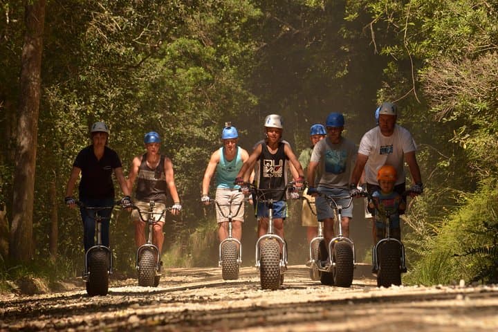 Knysna Scootour: Downhill Forest Scooter Adventure on the Garden Route