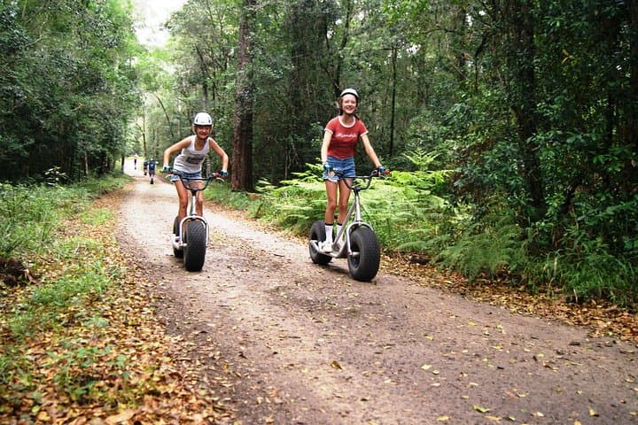 Knysna Scootour: Downhill Forest Scooter Adventure on the Garden Route photo 3