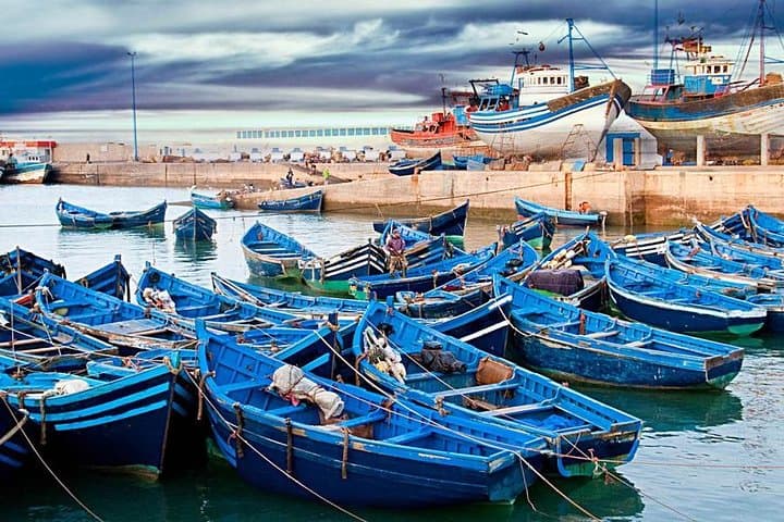 Essaouira Day Trip from Marrakech — Argan Trees, Medina & Atlantic Harbor photo 6