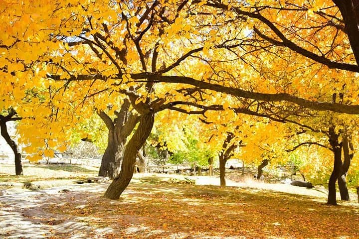 Autumn Adventure Through Hunza Valley & Skardu: 12-Day High-Altitude Cultural Circuit