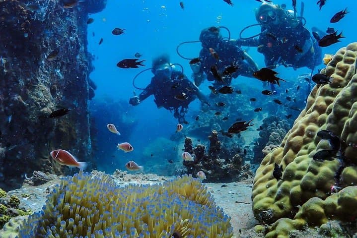 Try Scuba on Koh Tao — Basic Diver One‑Day SSI Experience photo 3