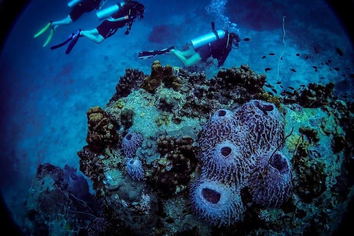Try Scuba on Koh Tao — Basic Diver One‑Day SSI Experience photo 6