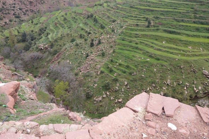Ourika Valley & Atlas Mountains Day Tour from Marrakech photo 3