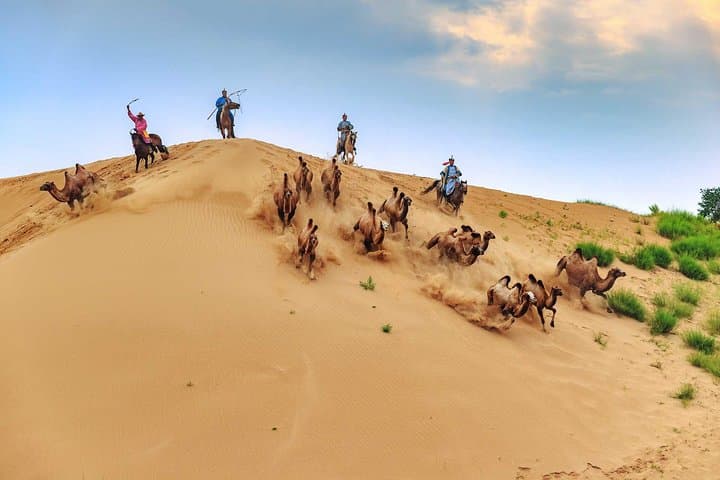 Gobi Desert & Kharkhorin: 8-Day Overland Adventure from Ulaanbaatar