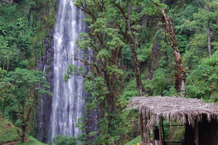 Materuni Waterfalls & Chagga Coffee Tour from Moshi — Day Trip Guide