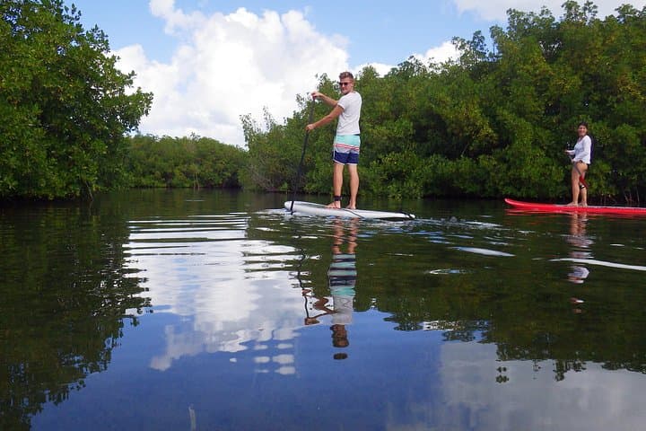 Stand-Up Paddle in Paradise: Mangrove Eco-Tour at Grand Cul-de-Sac Marin photo 3
