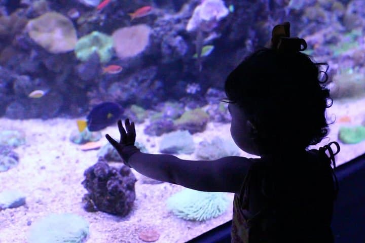 AquaRio Guided Tour with Transfer — Skip-the-Line Rio Aquarium Experience photo 2