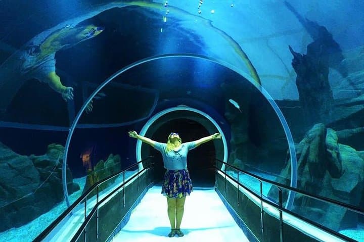 AquaRio Guided Tour with Transfer — Skip-the-Line Rio Aquarium Experience photo 4