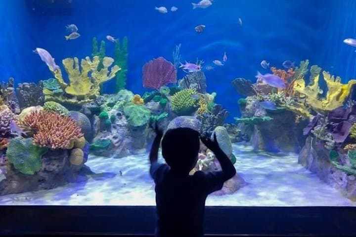 AquaRio Guided Tour with Transfer — Skip-the-Line Rio Aquarium Experience photo 5