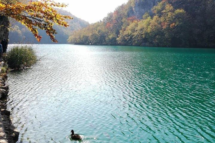 Full-Day Plitvice Lakes Private Guided Tour from Pula with Transfer to Zagreb photo 2