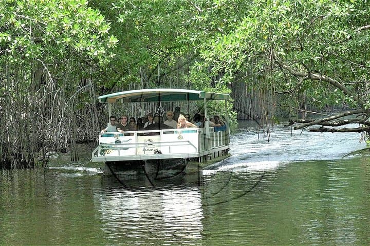 YS Falls & Black River Safari from Falmouth — Waterfalls, Crocodiles & Local Lunch photo 1