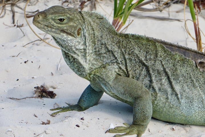 4-Hour Catamaran Sail & Snorkel from Grace Bay — Providenciales Adventure photo 3