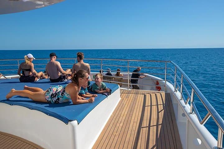 Cairns Super Saver: Great Barrier Reef, Daintree & Kuranda Rail and Skyrail photo 5