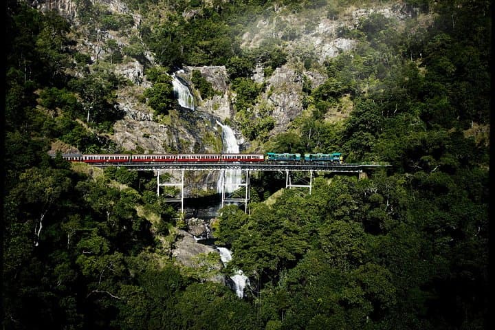 Cairns Super Saver: Great Barrier Reef, Daintree & Kuranda Rail and Skyrail photo 6